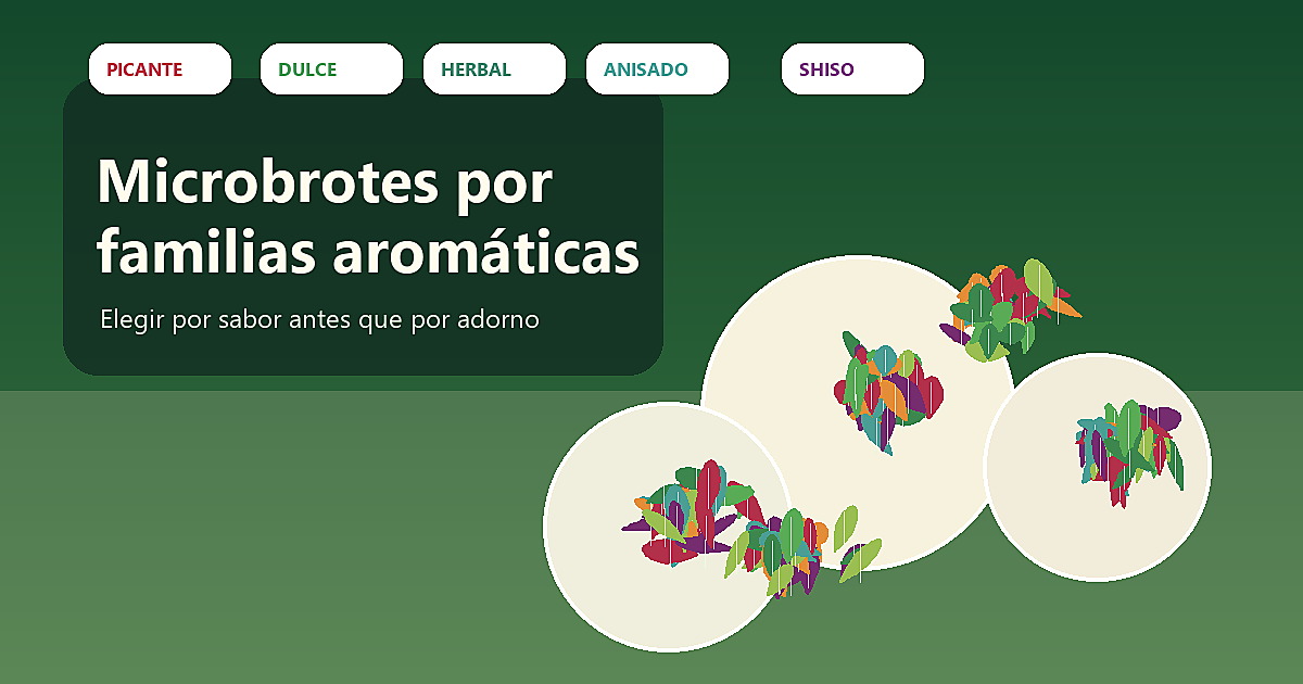 Microbrotes organizados por familias aromáticas para acordar platos