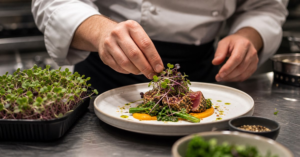 Microbrotes para restaurantes: frescura, trazabilidad y seguridad alimentaria