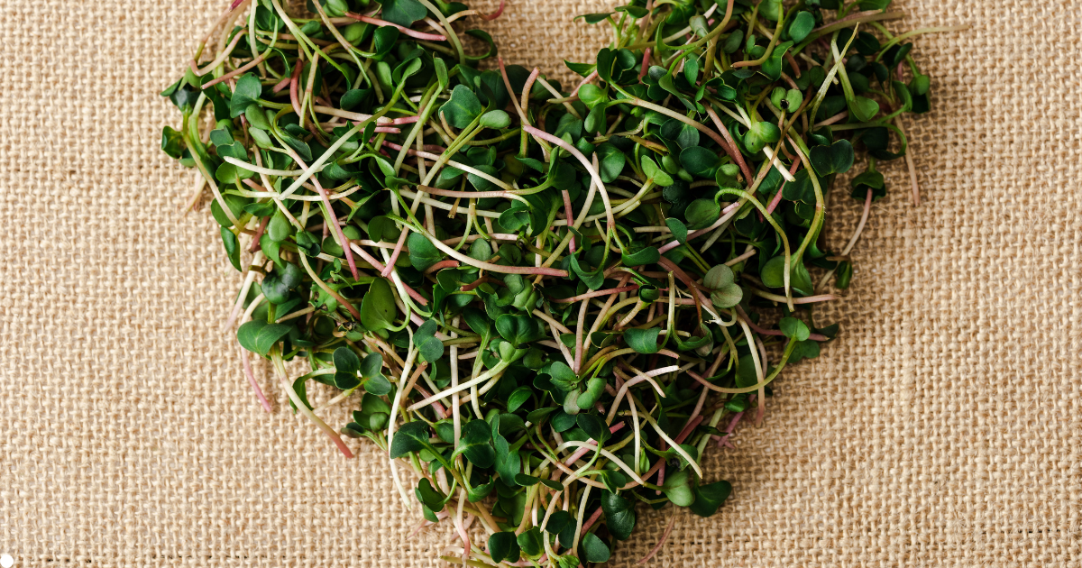 Microbrotes y salud cardiovascular