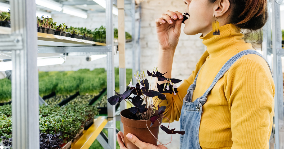 Microbrotes y salud mental