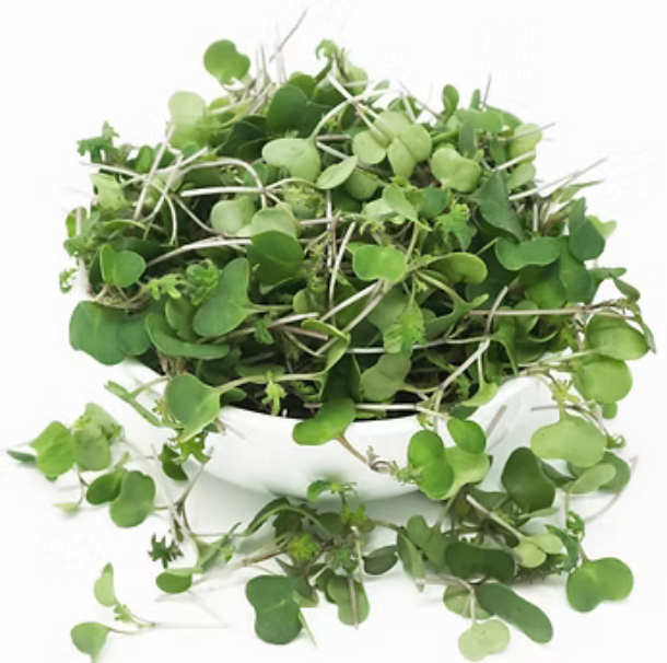 Kale — Super Verde