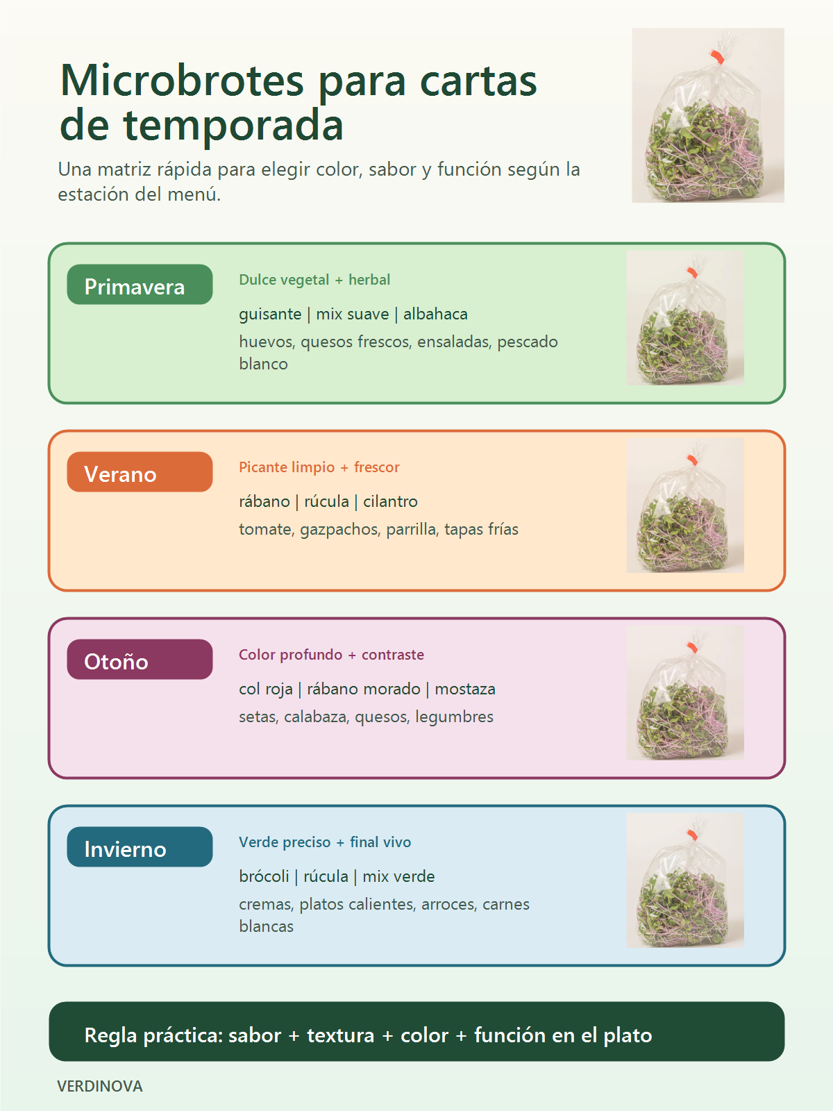 Infografía de microbrotes para cartas de temporada: primavera, verano, otoño e invierno con usos culinarios y perfiles de sabor