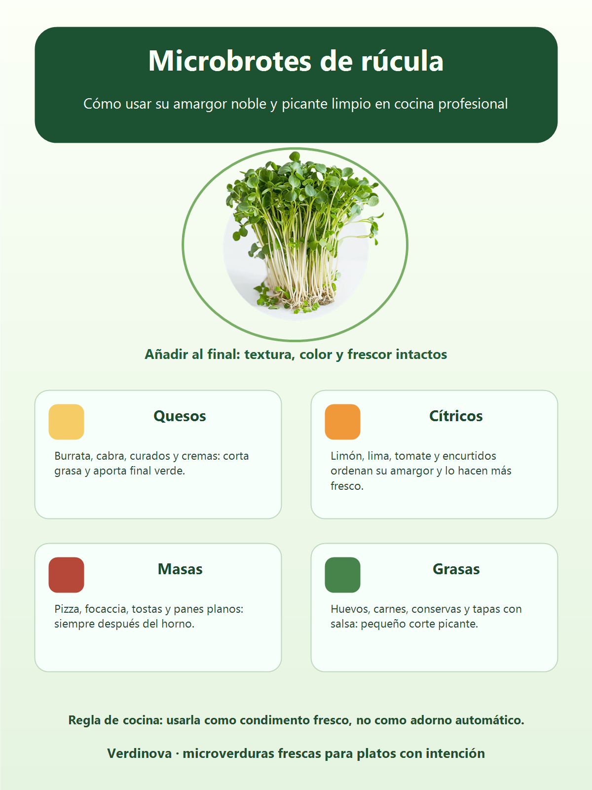 Infografía de microbrotes de rúcula con maridajes: quesos, cítricos, pizzas, tapas y carnes