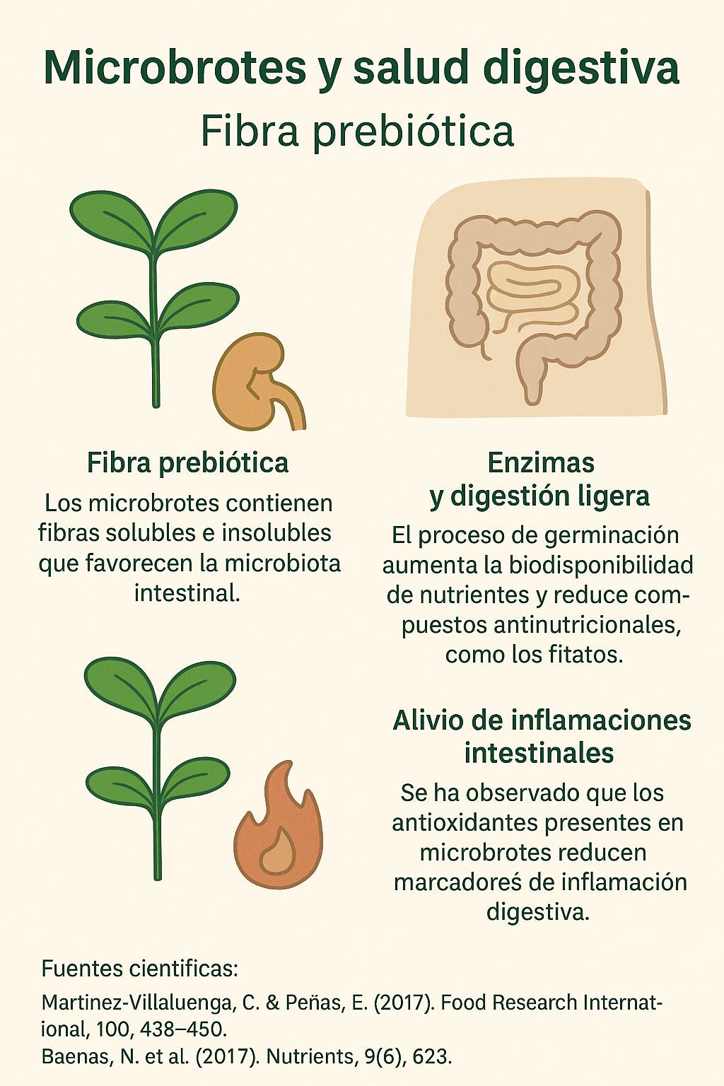 ¿Microbrotes y Salud Digestiva